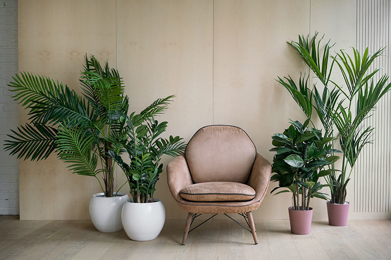 modern chair with greenery